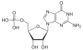 Guanosinmonophosphat (GMP)