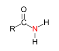 Prim. Amide Structural Formulae V.1.svg