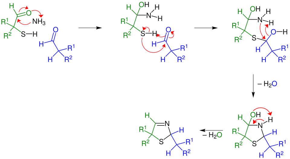 Mechanismus