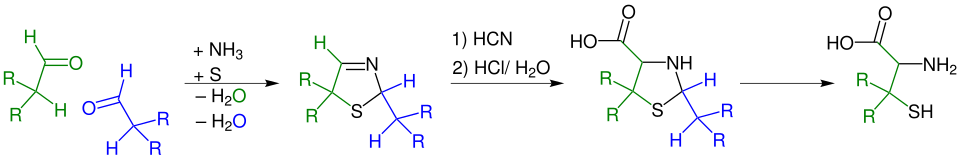 Asinger-Reaktion als erster Schritt zu Herstellung von Cystein bzw. Penicilliamin