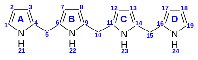 Nummerierung der Tetrapyrrole