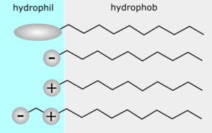 TensideHyrophilHydrophob.png