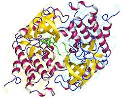 Phosphorylase-Kinase