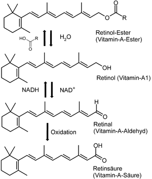 Synthese des Vitamin A